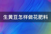 生黄豆怎样做花肥料 