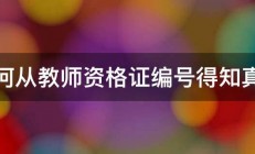 如何从教师资格证编号得知真假 