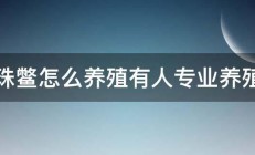 珍珠鳖怎么养殖有人专业养殖吗 