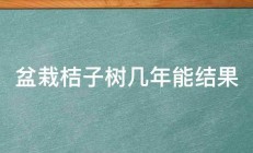 盆栽桔子树几年能结果 