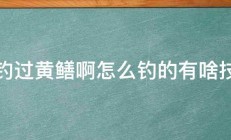 谁钓过黄鳝啊怎么钓的有啥技巧 