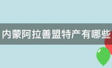 内蒙阿拉善盟特产有哪些 