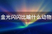 金光闪闪比喻什么动物 