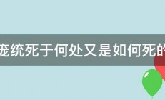 庞统死于何处又是如何死的 