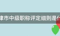 天津市中级职称评定细则是什么 