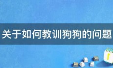 关于如何教训狗狗的问题 