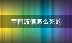 宇智波信怎么死的 