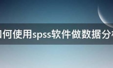 如何使用spss软件做数据分析 