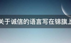 关于诚信的语言写在锦旗上 