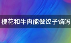 槐花和牛肉能做饺子馅吗 