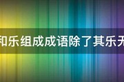 其和乐组成成语除了其乐无穷 