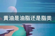 黄油是油脂还是脂类 