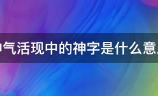 神气活现中的神字是什么意思 