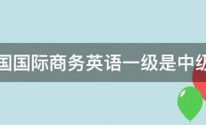 全国国际商务英语一级是中级吗 