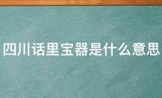 四川话里宝器是什么意思 