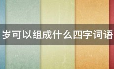 岁可以组成什么四字词语 