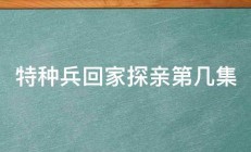 特种兵回家探亲第几集 