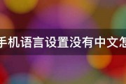 三星手机语言设置没有中文怎么办 