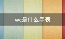 wc是什么手表 