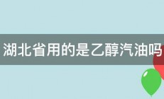 湖北省用的是乙醇汽油吗 