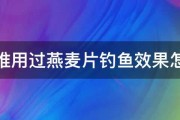 有谁用过燕麦片钓鱼效果怎样 