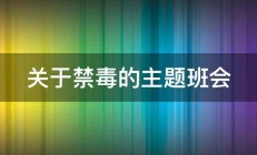 关于禁毒的主题班会 