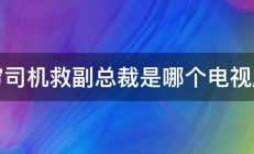 穷司机救副总裁是哪个电视剧 