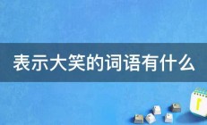 表示大笑的词语有什么 