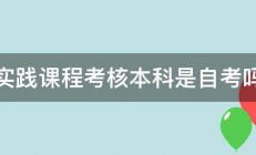 实践课程考核本科是自考吗 