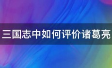 三国志中如何评价诸葛亮 