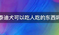 泰迪犬可以吃人吃的东西吗 