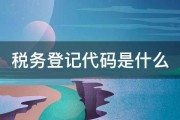 税务登记代码是什么 