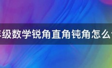 二年级数学锐角直角钝角怎么认识 