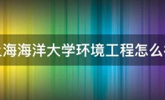 上海海洋大学环境工程怎么样 