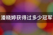 潘晓婷获得过多少冠军 