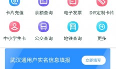 iphone苹果手机怎么充值武汉通