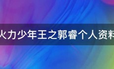 火力少年王之郭睿个人资料 