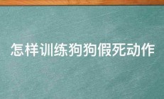 怎样训练狗狗假死动作 