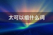 太可以组什么词 