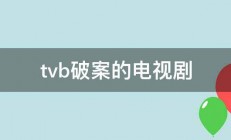 tvb破案的电视剧 