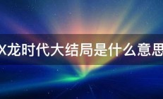 X龙时代大结局是什么意思 