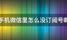 手机微信里怎么没订阅号啊 