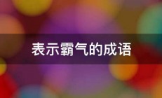 表示霸气的成语 