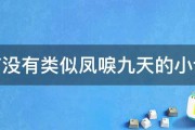 有没有类似凤唳九天的小说 