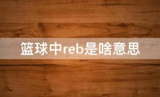 篮球中reb是啥意思 