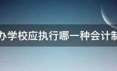 民办学校应执行哪一种会计制度 