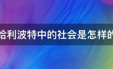 哈利波特中的社会是怎样的 