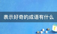 表示好奇的成语有什么 