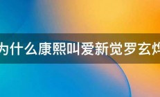 为什么康熙叫爱新觉罗玄烨 