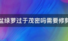 这盆绿萝过于茂密吗需要修剪吗 